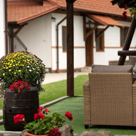 Magda Garden Hotel Cartisoara Exterior photo