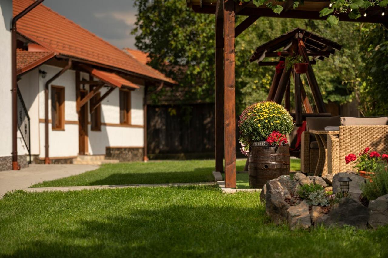 Magda Garden Hotel Cartisoara Exterior photo