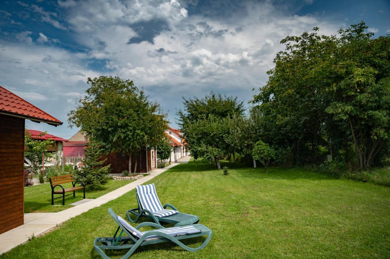 Magda Garden Hotel Cartisoara Exterior photo