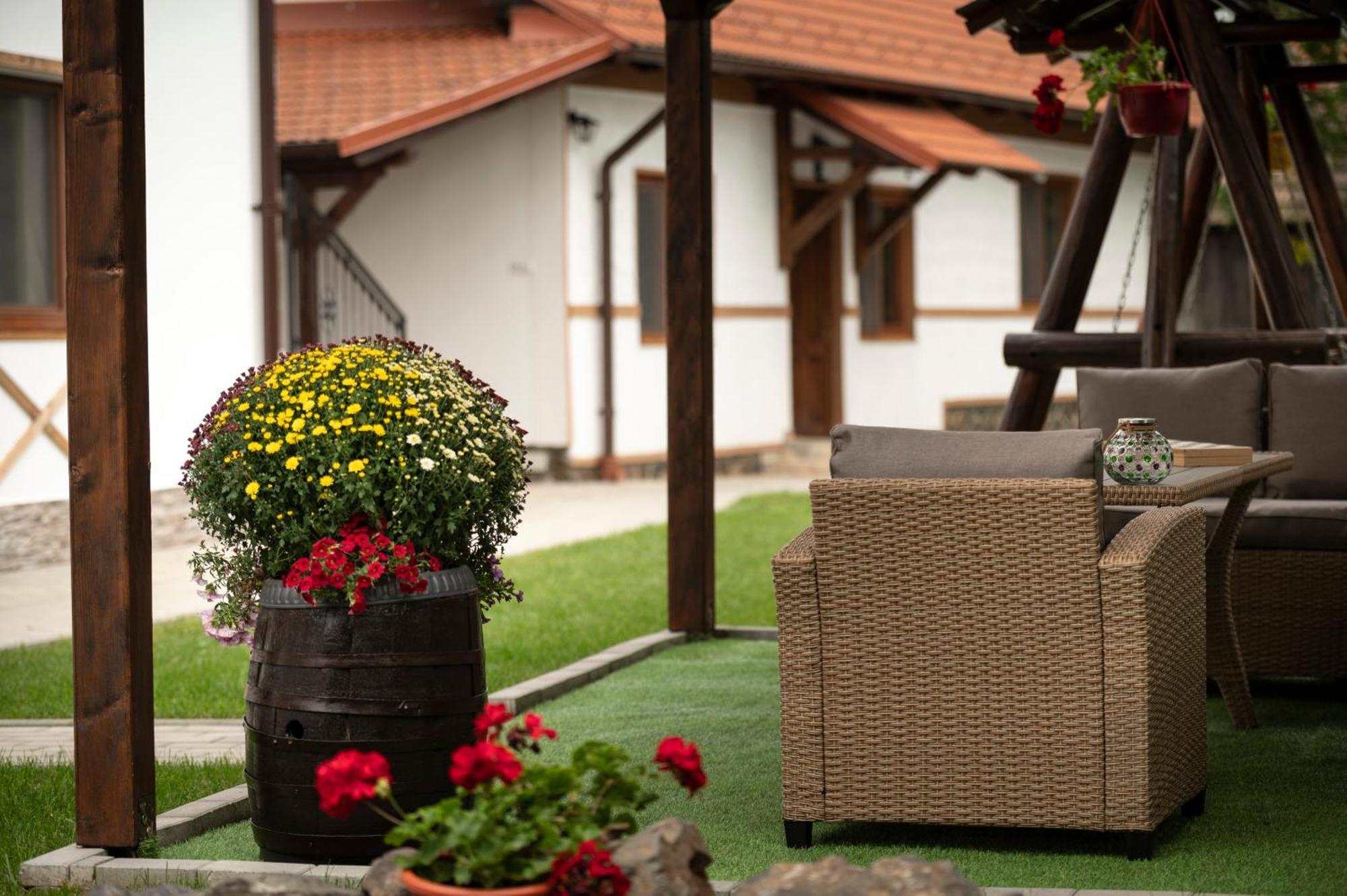 Magda Garden Hotel Cartisoara Exterior photo