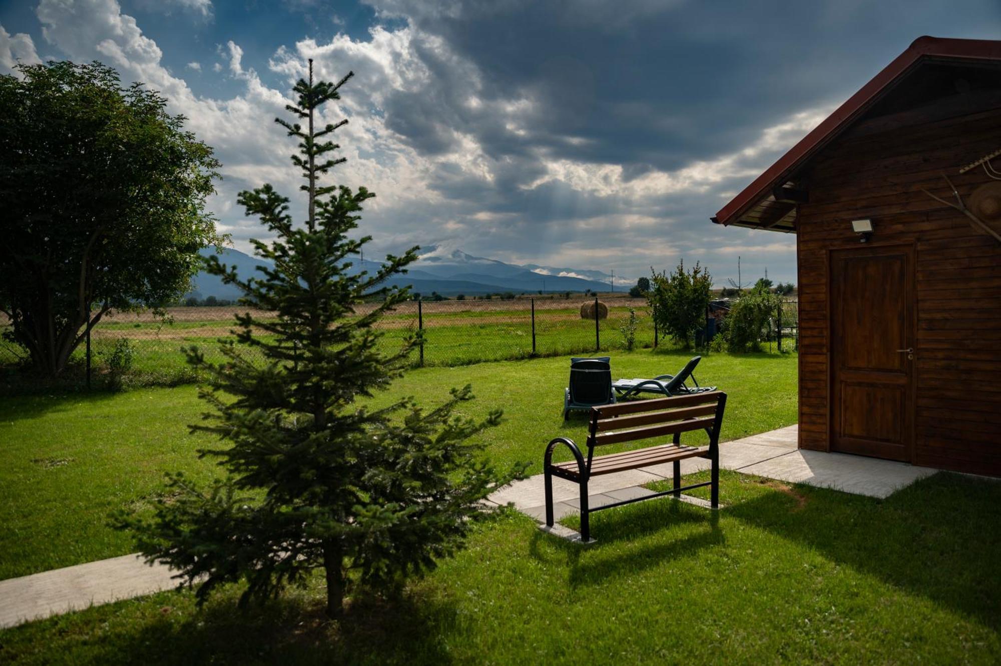 Magda Garden Hotel Cartisoara Exterior photo